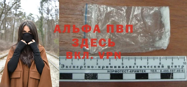 стаф Кукмор