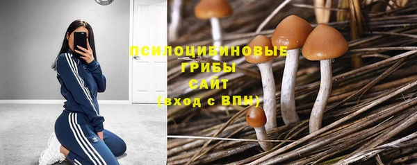 молекула духа Куйбышев
