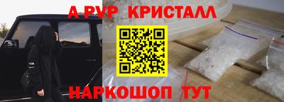 шишки Аргун