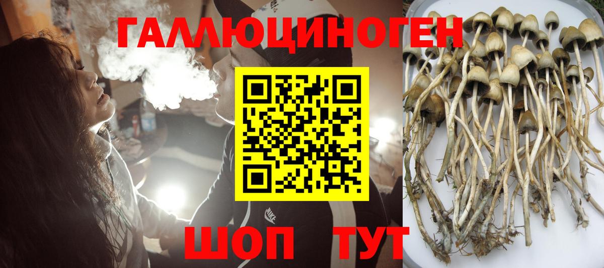 ГАШИШ Урус-Мартан