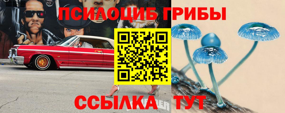 Псилоцибиновые грибы MAGIC MUSHROOMS  как найти закладки  Урус-Мартан 