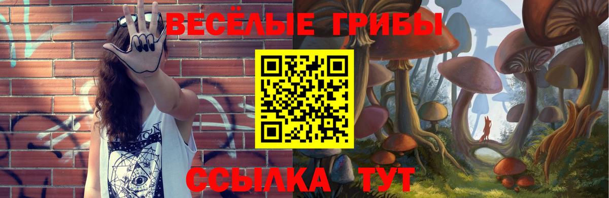 Урус-Мартан  Галлюциногенные грибы мухоморы  дарнет шоп  Вход с VPN  Псилоцибиновые грибы мицелий 